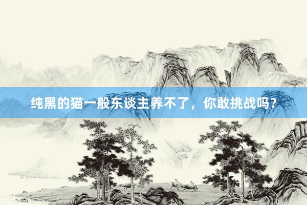 纯黑的猫一般东谈主养不了，你敢挑战吗？