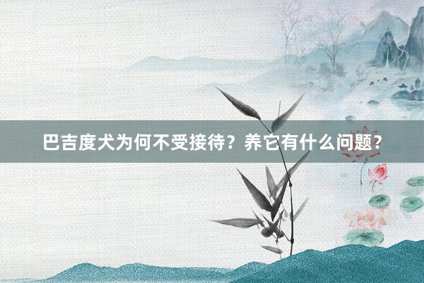 巴吉度犬为何不受接待？养它有什么问题？
