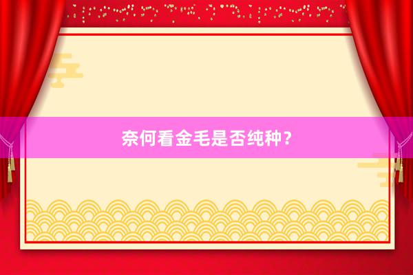 奈何看金毛是否纯种？